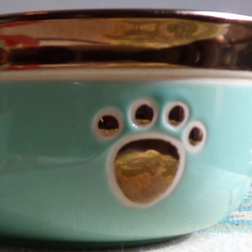 NEW Cute! (1) Ceramic Blue & Bronze Color Trim Dog/Cat Pet Food Water Dish Bowl